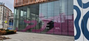 Multi-panel storefront window graphics