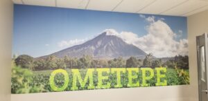 Wall covering installation