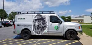 Vehicle graphics