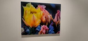 Acrylic signs and displays