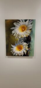 Acrylic signs and displays