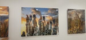 Acrylic signs and displays